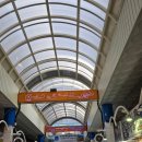 매일시장주차장 | 제주 서귀포 관광지 서귀포 매일 올레 시장 탐방 후기!! (feat. 온누리 상품권)