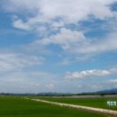 하늘을 향하여 이미지