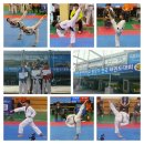 연세 경기 태권도장 이미지