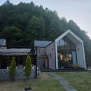 도그룸 | 강원도 춘천 잔디밭이 넓은 애견동반 펜션 | 도그인 | 내돈내산 솔직후기