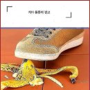 치아살리기 드림365치과의원 이미지