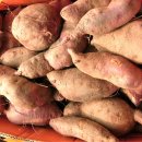 여주-0745 이미지