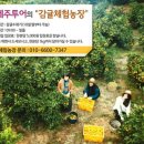 (주)엔제주