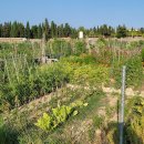 동보농장 이미지