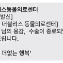 더블리스동물의료센터 네이버블로그