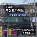 복싱트라이브 이미지
