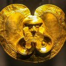 엘도라도 아마존 이미지