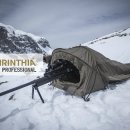 카렌시아 이미지