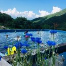 산아래 민박 이미지