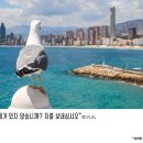 꿈스터디카페 네이버블로그