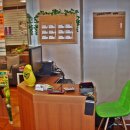 천연머리염색 이미지