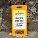 미키애견 | 경남 함안 반려견 놀이터, 애견동반 마당에서 놀자멍