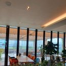 티팰리스 이미지