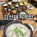 영천시청노동조합 | 김선돼지국밥 영천시청점 - 국내산 한돈 영천 국밥 맛집