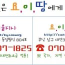 [미국/롱비치]캘리포니아주립대학교 롱비치- TEFL 수료증 과정 이미지