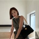 아이비 이미지