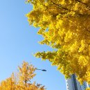 퍼피움 | 홍대 카페 휘낭시에 맛집 퍼피 카페