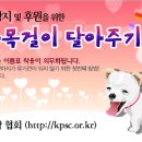 진아공구 Daum카페
