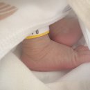 자연분만 출산 I 시험관 출산 후기 I 나의 오랜 소망이 세상에 안긴 날