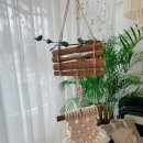 신성여자중학교 | 신성여자중학교 마크라메 시나몬 미니 행잉 만들기