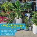 새생명한의원 이미지