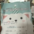 e-동물 메디컬 센터 이미지