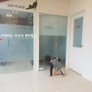 24시동탄윌동물의료센터 이미지