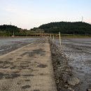 고흥의 하루 이미지