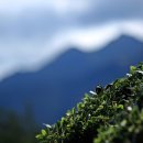 청아여관 이미지