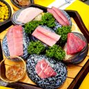 집으로 간 참치 이미지