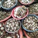 낙안읍성선비촌 이미지