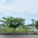 노른자공인중개사사무소 이미지