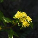 기린초등학교 이미지