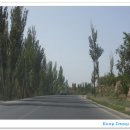 교하로(1) 이미지