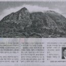 금장지 이미지