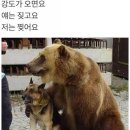 화순백아산농장
