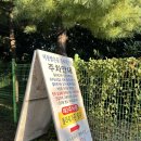 맑은물사업소 2 | 마산 핑크뮬리 코스모스 명소 추천 덕동 맑은물 플라워가든