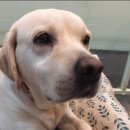 도킹어바웃 이미지