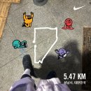 [ 온러닝 클라우드 몬스터 ] 사이즈 후기 &amp; 착샷