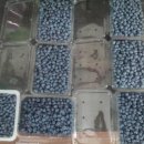 숙희농장 이미지