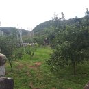 일재농장 이미지