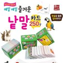 즐거운매일