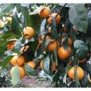 지종농장 이미지