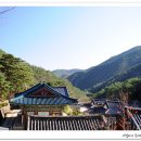 삼화사 이미지