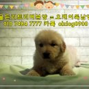 오케이주점