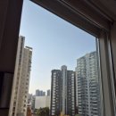 아이유리 | 충남/천안시 꼼꼼한 남자 아산 유리창 청소 후기! 아이 방이 환해졌어요! ☀️