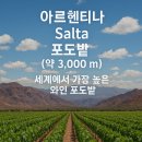 고원농장 이미지