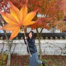 라스베가스노래방 이미지