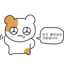 잭슨피자 이미지