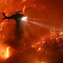 CW-1236-01 이미지